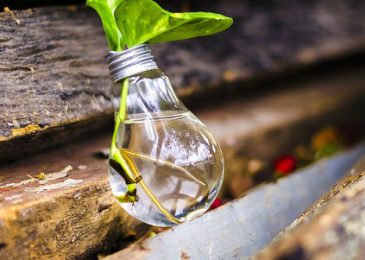 למה משתלם לקחת שירותים ניידים לאירוע היום?